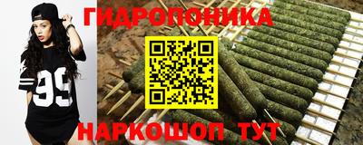 a pvp Будённовск