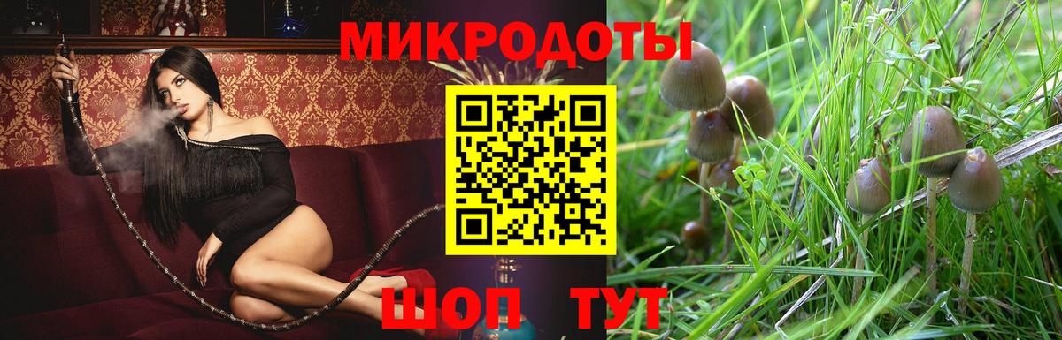 Галлюциногенные грибы Psilocybine cubensis  купить закладку  Раменское  Вход с VPN 