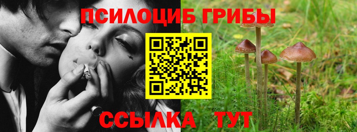 Галлюциногенные грибы Psilocybine cubensis Раменское